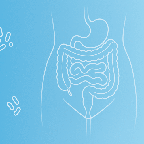 Probiotykoterapia i suplementacja w terapii dna miednicy - webinar live